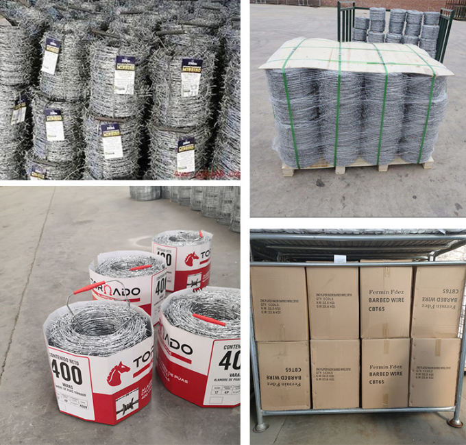 Harga rendah Concertina Hot Dip Galvanized Razor Barbed Wire 3