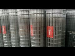 1 Inch Gi Welded Wire Mesh Untuk Pagar dan Animal Cage