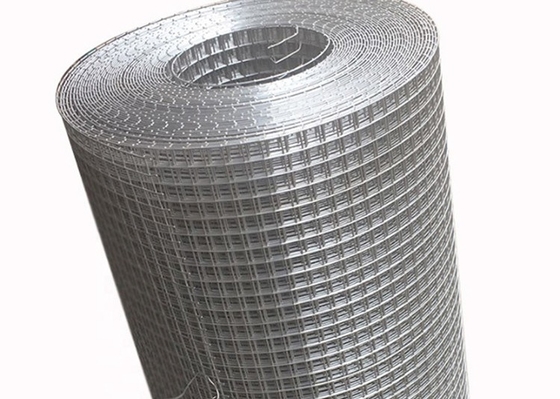 Electro Hot Dipped Galvanized Welded Wire Mesh Roll 3/8 Inci 3/4 X 3/4 Inci