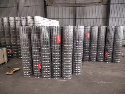 25x25mm Lubang Hot Dipped Galvanized Welded Wire Mesh