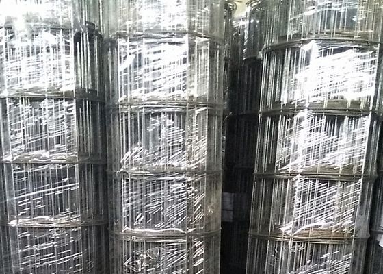 3mm Diameter Kawat 15cm Openning Hitam Welded Wire Mesh untuk Pasar Amerika Selatan