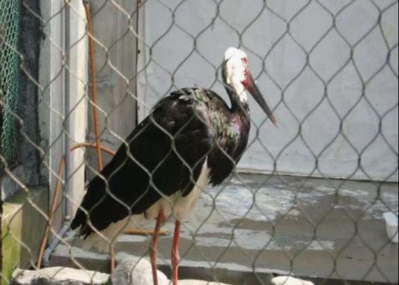 304 Stainless Steel Wire Flexible Cable Rope X-Type Infill Rope Mesh Balustrade Protective Net for Handrail/Railing/Staircase/Balcony/Garden/Decorative Building