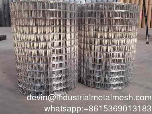 Berkualitas tinggi Zinc Coated Galvanized Bird Cage Welded Wire Mesh Roll