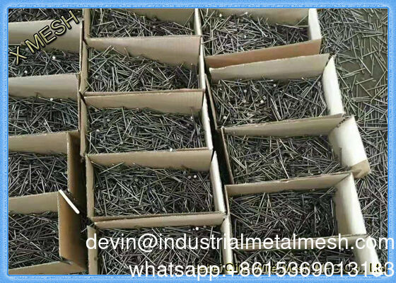 Paku Kawat Biasa 30mm 40mm 50mm 60mm70mm 80mm Kepala Berlekuk Potongan Pra-potong Karton Kayu