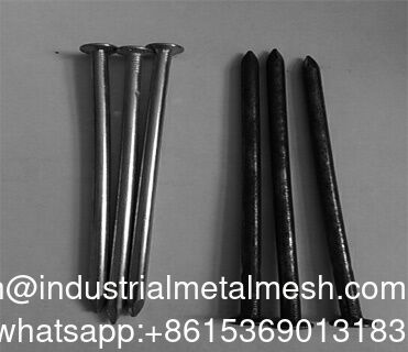 Galvanized Common Wire Nails Jenis batang halus Bulat kuku kepala datar