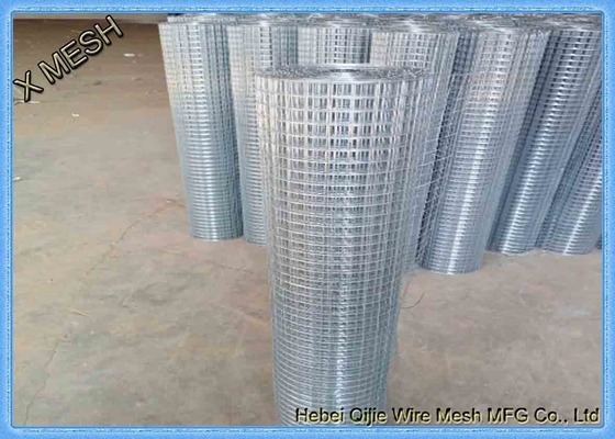 Industrial Aviary 1 &quot;Electro / Hot Dipped Galvanized Welded Wire Mesh