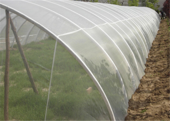 2x30m UV tahan Anti Serangga Fly Screen Mesh Tumbuh Sayuran Putih Jaring