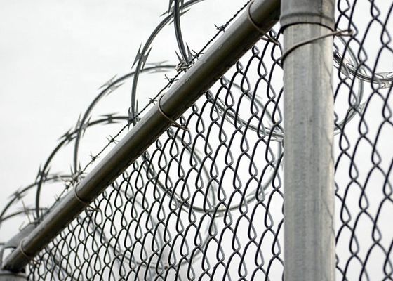Harga rendah Concertina Hot Dip Galvanized Razor Barbed Wire