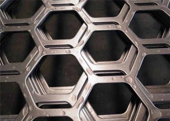 Plat logam berlubang heksagonal dari stainless steel berkualitas duplex Akuakultur dan air asin