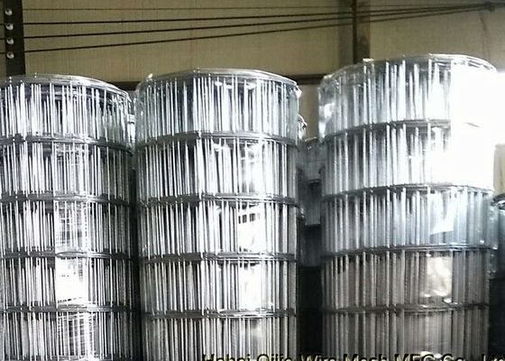 3mm Diameter Kawat 15cm Openning Hitam Welded Wire Mesh untuk Pasar Amerika Selatan