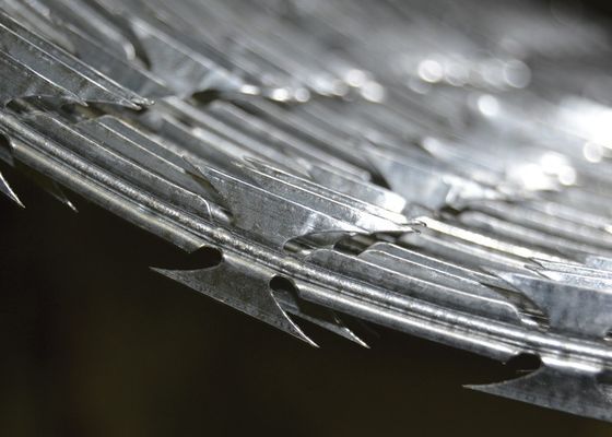 Galvanized Barbed Wire Penjaga keamanan stainless steel Wire Razor Wire