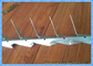 Hot Dicelup Galvanis Dan PVC Dilapisi Hitam Paku Dinding Sedang Tebal 0.8mm