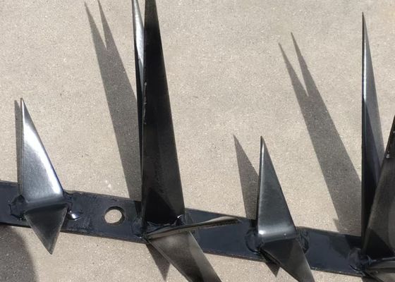 1m Panjang SGS Berukuran Besar Hot Dipped Galvanized Anti Climb Wall Spike Untuk Keamanan