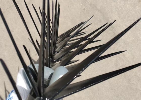 Panjang 1m Ukuran besar warna hitam Anti Menekuk Tembok Spike Untuk Keamanan
