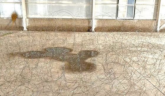 Hambatan baja yang tidak mencolok Putanka MZP Dengan 10 meter perimeter
