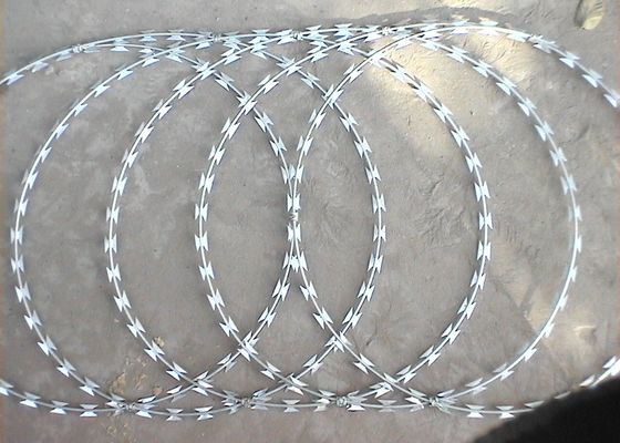 2.5mm Cbt-60 Kawat Concertina Berduri Stainless Steel