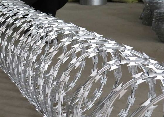 2.5mm Cbt-60 Kawat Concertina Berduri Stainless Steel