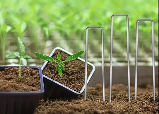 Jaring Serangga Menetapkan Peg Gambut Menjamin SOD Staples Galvanis Baja Garden Nail