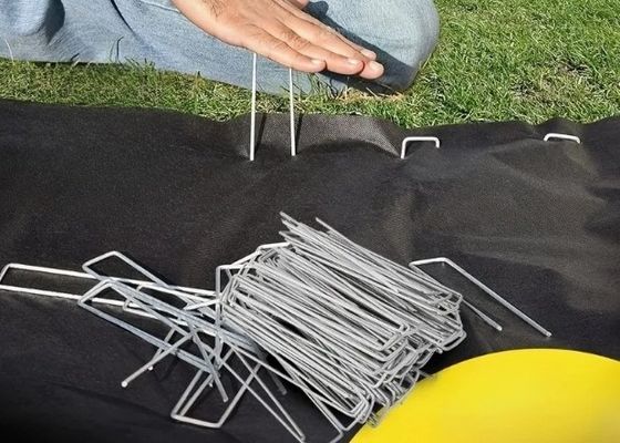 Galvanized Landscape Staples U Bentuk Lawn Turf Nail