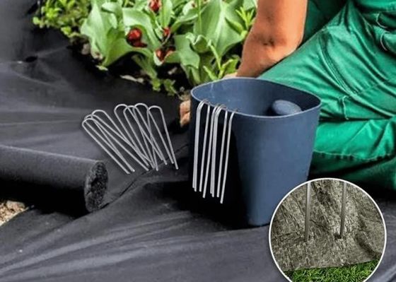 Galvanized Landscape Staples U Bentuk Lawn Turf Nail