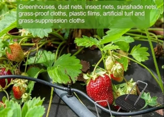 Hot Dip Galvanized U Type Garden Grass Lawn Turf Staple Lawn Nail 9 Gauge Wire Diameter