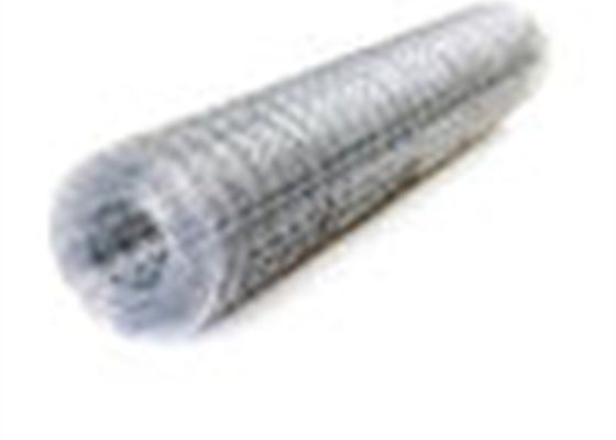 Electro Welded Galvanized Bird Cage Welded Iron Wire Mesh Multifungsi