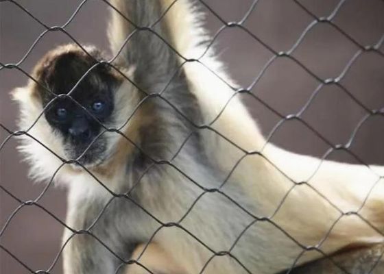 Ss 304 Ss 316 Kawat Jaring Tali Baja Tahan Karat Jaring Tali Ferrule Baja Tahan Karat untuk Dijual