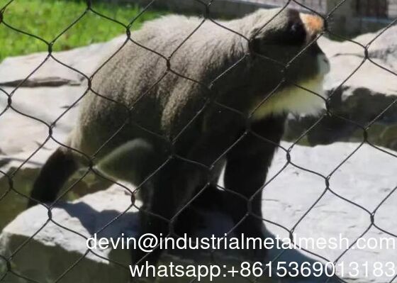 Penjualan Panas Jaring Tali Kawat Jaring Tali Stainless Steel Fleksibel