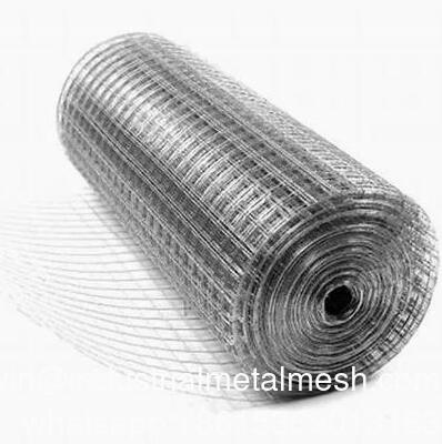 Pengangkutan unggas Jaring Kandang Kelinci Besi Wire Mesh Pertanian Pagar Roll Galvanized Welded Wire Mesh