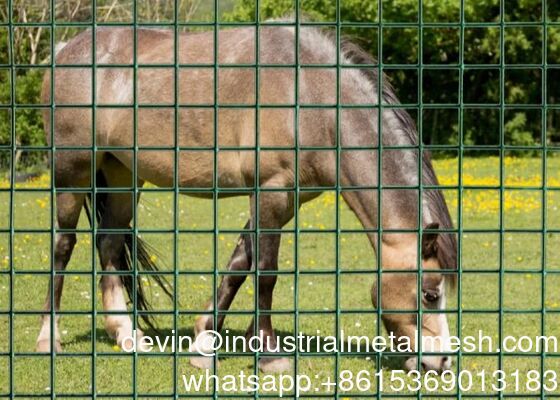 PVC dilapisi Galvanized Steel Welded Wire Mesh untuk Pertanian Taman Unggas