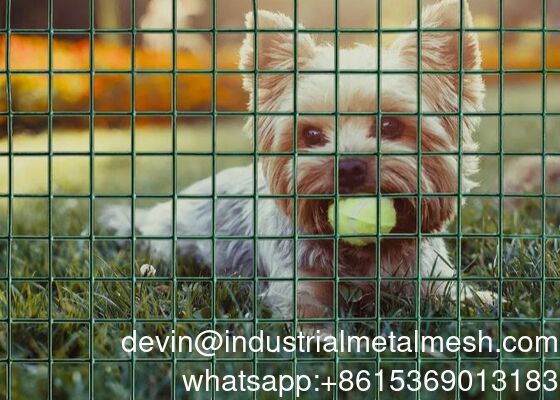 PVC dilapisi Galvanized Steel Welded Wire Mesh untuk Pertanian Taman Unggas
