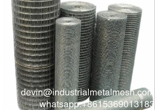 Hot Dip Rouleau De Grillage Galvanized Steel Wire Mesh Welded Mesh Pagar 1/2''1/4''Galvanized Wire Mesh
