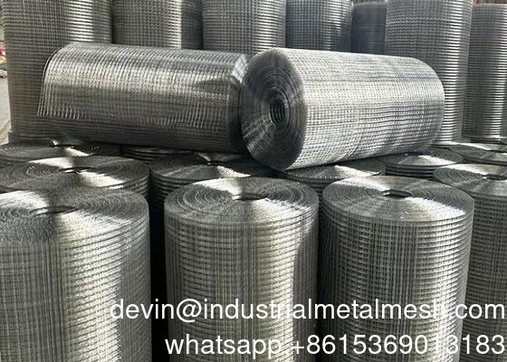 Premium Hot DIP Galvanized Welded Wire Mesh Panel untuk Peternakan