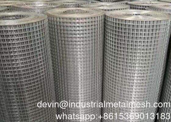 Premium Hot DIP Galvanized Welded Wire Mesh Panel untuk Peternakan