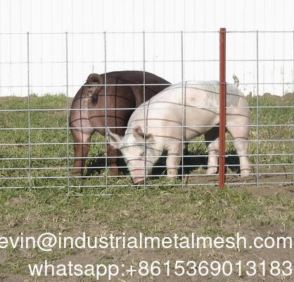 Lembaran Kawat Las Pagar Taman Galvanis 6mm