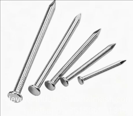 Electro Galvanized Zinc Iron Nails 1''-6'' Wooden Nail Wire Nail Polished Common Nails