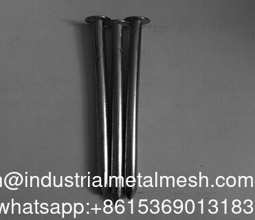 Galvanized Common Wire Nails Jenis batang halus Bulat kuku kepala datar