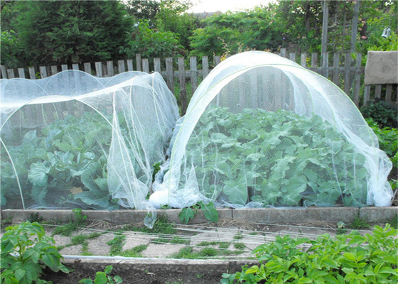 Hortikultura Hdpe Fly Screen Mesh Pertanian Menumbuhkan Serangga Proof Network 40 Mesh
