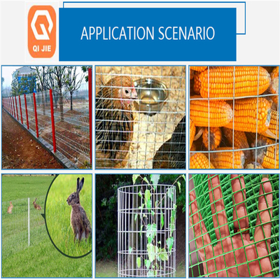 Electro Welded Galvanized Bird Cage Welded Iron Wire Mesh Multifungsi
