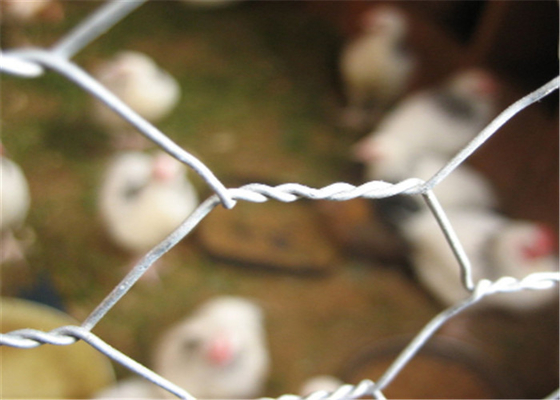 304 Stainless Steel 20 GA Ayam Logam Wire Mesh Netting Hex Lubang 3/4 