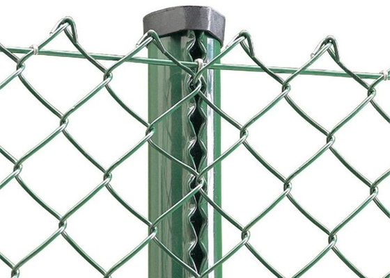 Galvanized PVC Coated Diamond Mesh Wire Chain Link Pagar Roll
