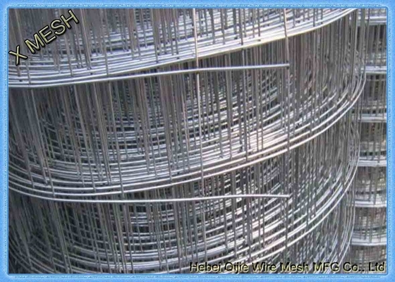 Hot Dip / Elektro Galvanis Dilas Wire Mesh 0.8mm * 1.5m Tinggi Untuk Afghanistan