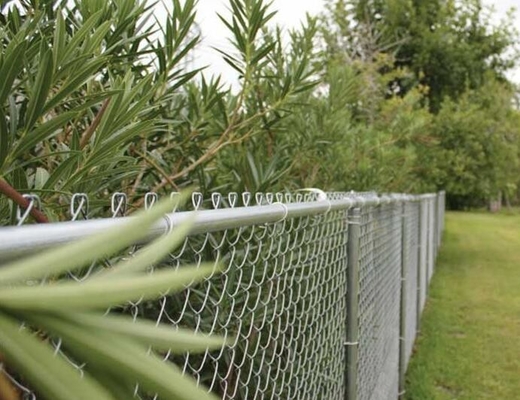 1mx30m 50mmx50mm 2.5mm Galvanized Chain Link Fence