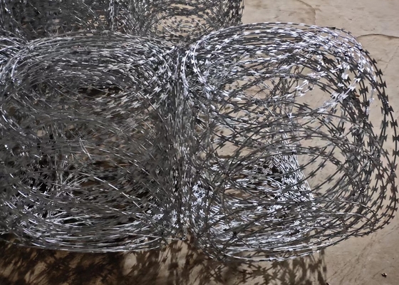 Kawat Pisau Cukur Concertina Diameter 800mm Bungkus Datar Bto-20